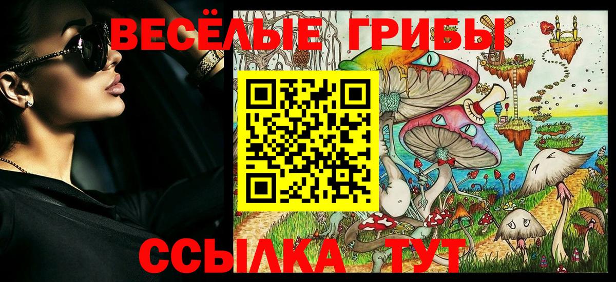 Кузнецк  Галлюциногенные грибы GOLDEN TEACHER  Вход с VPN  Псилоцибиновые грибы Psilocybe 
