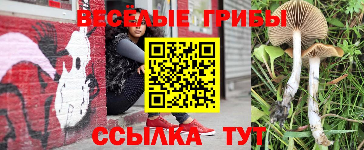 Галлюциногенные грибы MAGIC MUSHROOMS Кузнецк