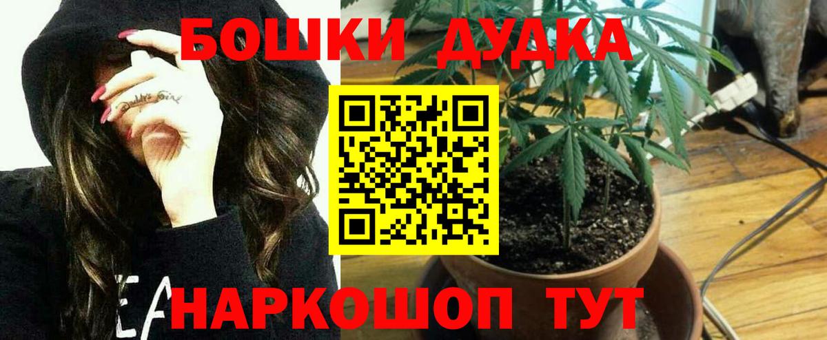 Канабис Bruce Banner  Вход с VPN  Канабис индика  Канабис Ganja  Кузнецк 